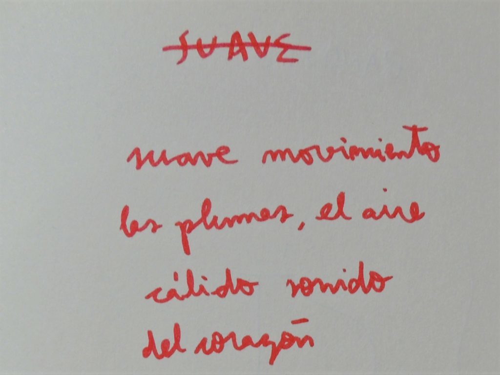 Bruno suave
